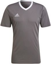 Zdjęcie adidas Teamwear Koszulka Męska Entrada 22 Jersey Szara He1574 - Piława Górna