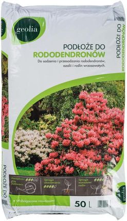 Podłoże Do Rododendronów, Azalii I Roślin Kwasolubnych 50 L Geolia