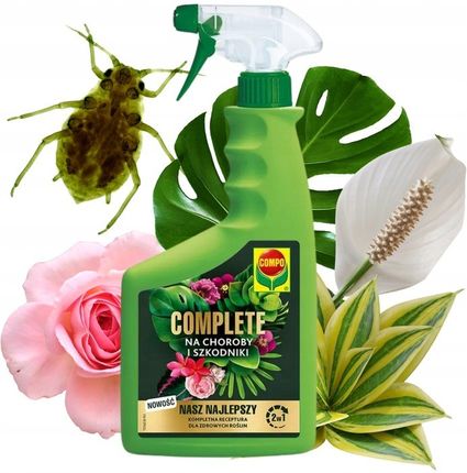 bio erbsen saatgut Bio Erbsen Sprossen Samen (50g)