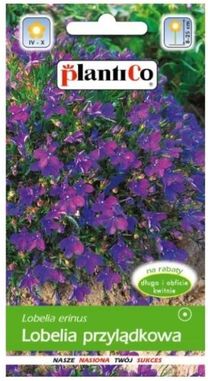 Lobelia Przylądkowa Fioletowa Mitternachtsblau 0,2G Plantico