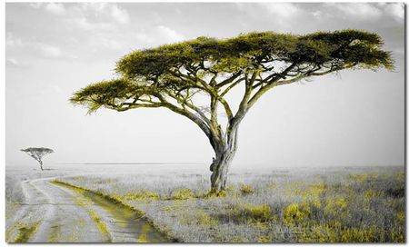 Obraz Drzewo 32 Żółty 120X70Cm Do Salonu Afryka 11764552257