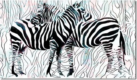 Obraz Zebra 1 120X70Cm Na Płótnie Zebry Piękny 11764570308