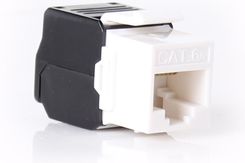 Getfort Moduł Keystone beznarzędziowy KGF-6AUTP-NT Cat.6A UTP (KGF6AUTPNT)