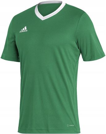 Koszulka męska adidas Entrada 22 Jersey zielona Hi