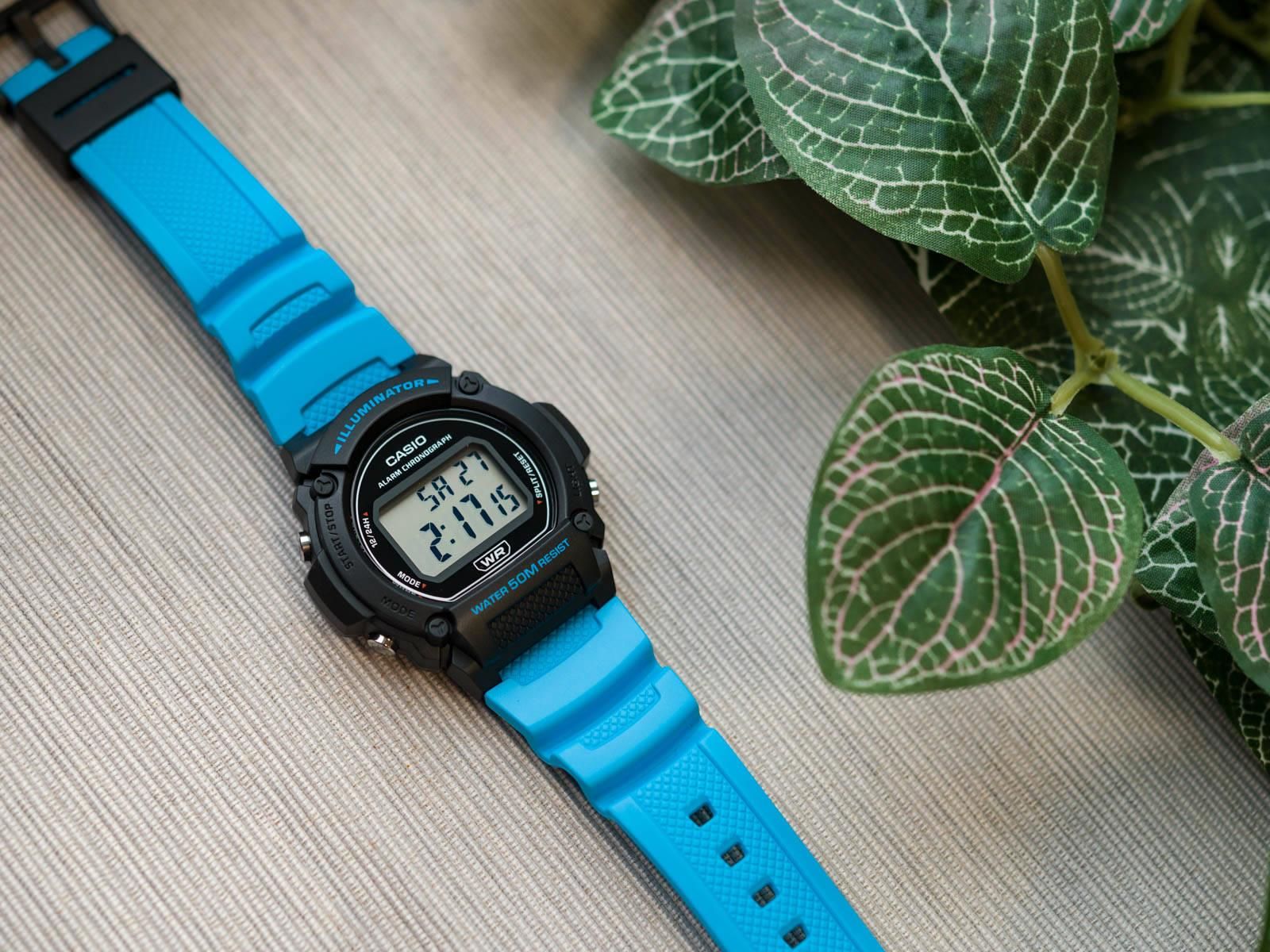 CASIO Analoog W-219H-8B, Meerkleurig, Strepen