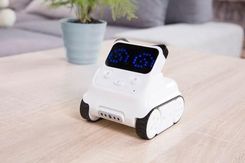 Zdjęcie Robot Codey Rocky - Nowa Ruda