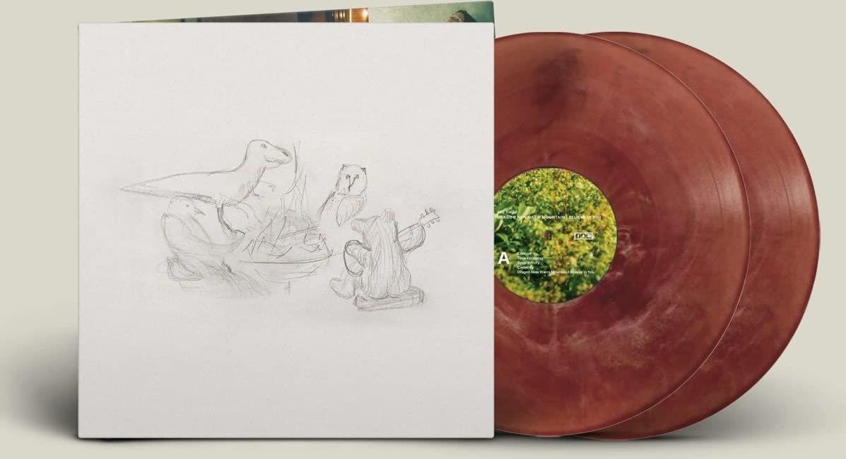 Big Thief　Dragon New Warm Mountain　LP Big Thief - Dragon New Warm Mountain I Believe In You