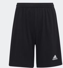 Zdjęcie adidas Spodenki Entrada 22 Short Y H57502 R. 164 Cm - Kłobuck