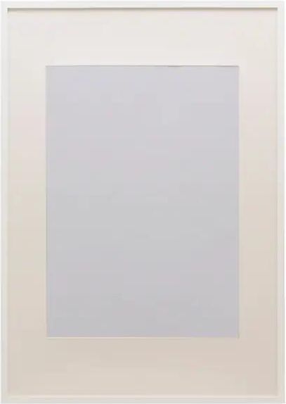 Ribba Ikea 70x100
