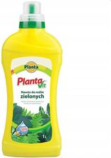 Zdjęcie Planta Nawóz Płynny Do Roślin Zielonych 1L Vit 2  S1354NV21  - Nowogard