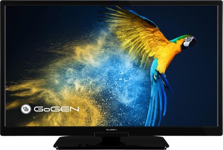 Telewizor LED Gogen TVH24M606STWEB 24 cale HD Ready