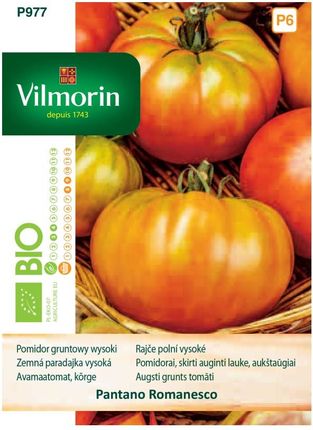 Pomidor Pantano Romanesco 0,5G Bio Vilmorin