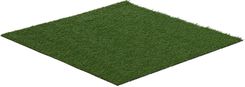 Zdjęcie Hillvert Sztuczna Trawa 100 X Cm  20 Mm  13/10  Uv Ht-Eag-1X1  - Żagań