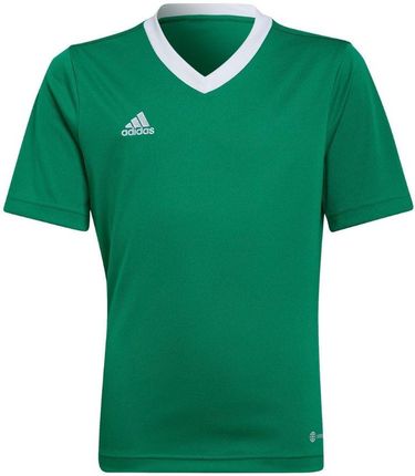 adidas Teamwear Koszulka Dla Dzieci Entrada 22 Jersey Zielona Hi2126
