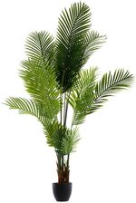 Zdjęcie Drzewko Palmowe W Doniczce 180Cm 221510 - Pułtusk