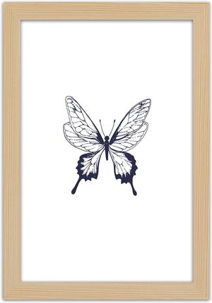 Carogroup Plakat Narysowany Motyl 40X60 1025248925