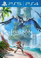 Horizon Forbidden West (PS4 Key)