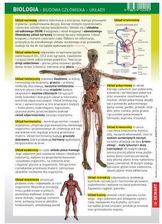 Zdjęcie Karta edukacyjna. Biologia - budowa człowieka - układy - Łódź