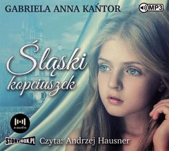 Zdjęcie Śląski Kopciuszek audiobook - Wałbrzych