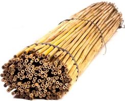 Zdjęcie Bmbs Tyczki Bambusowe 180Cm 10/12Mm 25szt. - Kock