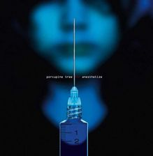 Zdjęcie Porcupine Tree - Anesthetize (CD) - Zduny