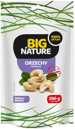 Mix Brands Sp Z Oo Orzechy Nerkowca Połówki 250g Big Nature