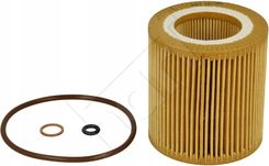 Filtr Oleju Bmw 7 E65 E66 E67 F01 F02 F03 F04 05  347 406
