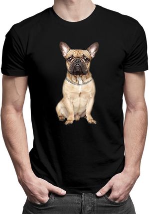 Buldog francuski (wersja 2) - męska koszulka z nadrukiem
