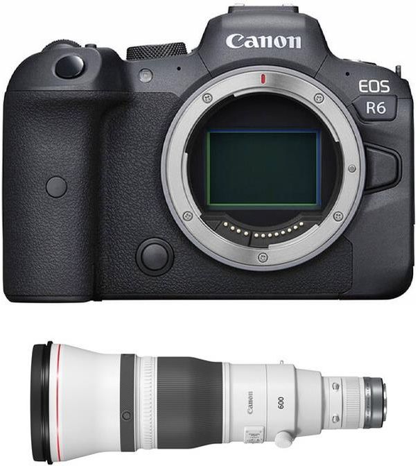 Aparat cyfrowy Canon EOS R6 body + RF 600mm F4L IS USM bezlusterkowiec ...