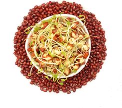 Zdjęcie Winoszarnia Kiełki Fasola Adzuki 100g - Szadek