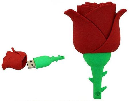 Dr. Memory Pendrive Róża Kwiatek Flash Usb Pamięć 8GB
