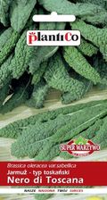 Zdjęcie Jarmuż Nero Di Toscana 1G Plantico - Biała Podlaska