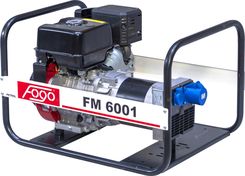 Fogo FM6001