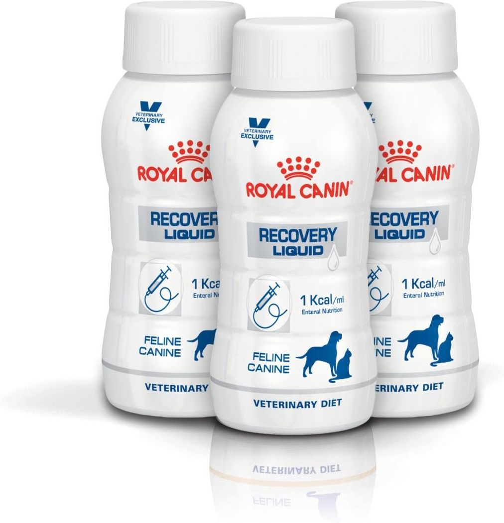 Karma Royal Canin Dog Cat Recovery Liquid Veterinary Diet Drink Karma Royal Canin Dog Cat Recovery Liquid Veterinary Diet Drink