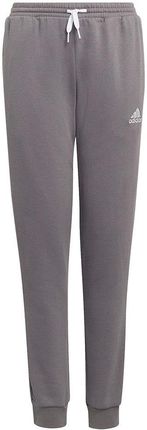 Spodnie dla dzieci adidas Entrada 22 Sweat Pants szare H57519 152cm