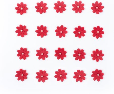 Dekoracje cukrowe kwiaty Stokrotka czerwona (d36af6d4)