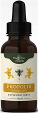 Zdjęcie Propolis nalewka 20% 100ml Magiczny ogród (99962dfc) - Wojkowice