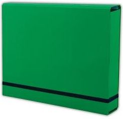 Teczka Kartonowa Na Gumkę Penmate A4 Kolor Zielony (Tt6761)