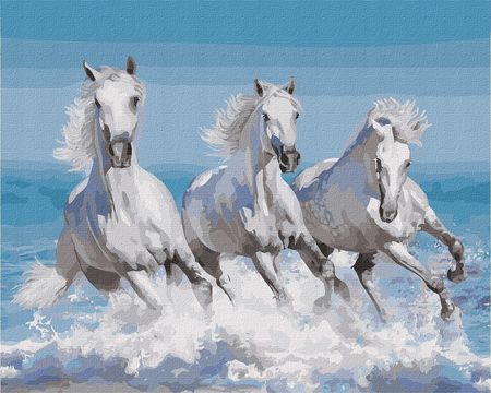Obraz Malowanie Po Numerach dla dzieci koń konie