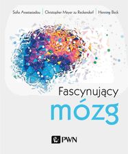 Zdjęcie Fascynujący mózg - Skoczów