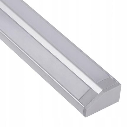 Design Light Profil aluminiowy Neoline 2 m na dwie taśmy Led (PROFNEOOPOPAL2M1W)