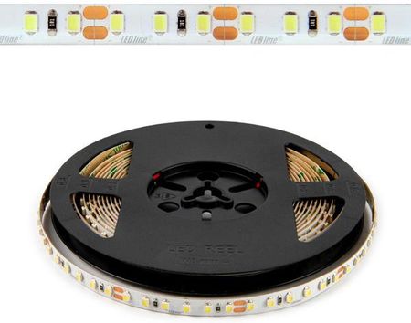 Led Line Taśma 600 SMD2835 12V 2700K 9,6W IP65 rolka 5m | ciepła