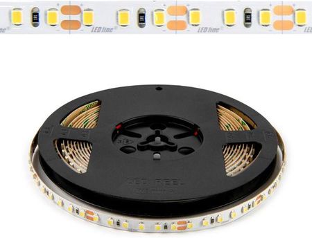 Led Line Taśma 300 SMD5050 24V 4000K 19,2W rolka 5m | RGBW