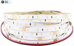 Ledvance Taśma LED VALUE CLASS LS VAL-1000/865/5 6500K 24V 12W/1m 60led/1m CRI>80 5mb IP00 (LSVAL10008655)