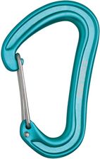 Zdjęcie Edelrid Nineteen G II Carabiner Turkusowy - Kąty Wrocławskie