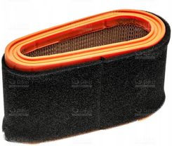 Zdjęcie Cedrus Filtr powietrza Ggp Stiga - Gorlice