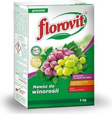 Zdjęcie Florovit Nawóz Do Winorośli 1Kg 3764W - Otwock