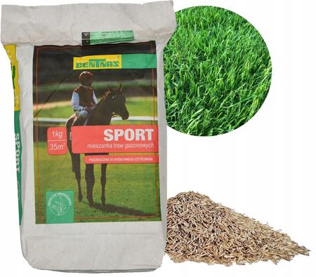 Centnas Trawa Sportowa Nasiona Trawnik 5Kg