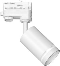 Zdjęcie Milagro - Reflektor szynowy 3-fazowy PIPE RING GU10 - biały (ML7670) - Malbork