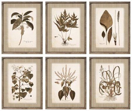Dkd Home Decor Obraz Rośliny Botaniczne (55 X 2.5 70 Cm) (6 Pcs) 11044010